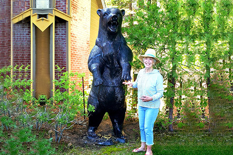 Large Standing Grizzly Bear Bronze Garden Statue Manufacturer BOK1-328